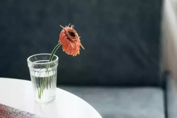 「えっ、アダルトサイトに私の写真が?! 犯人の正体にア然／びっくり体験人気記事BEST」の画像