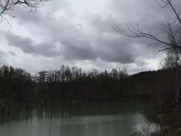 「絶景を期待して行った「青い池」、まさかの「ただの池」だったトホホ旅／びっくり体験人気記事BEST」の画像