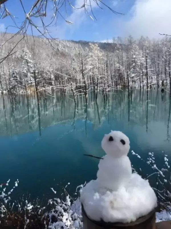 「絶景を期待して行った「青い池」、まさかの「ただの池」だったトホホ旅／びっくり体験人気記事BEST」の画像