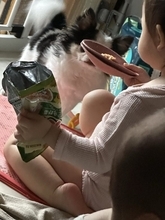 「ねぇwwww」「ママの…」1歳の女の子がいつのまにか“お皿がわり”にしていたモノに爆笑！ママに話を聞いてみた