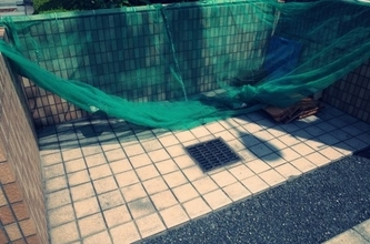 ゴミ捨て場を監視、“お茶会”という名の悪口大会…田舎移住で後悔する50代女性のぼやき「田舎暮らしを楽しもうと思ったのに」