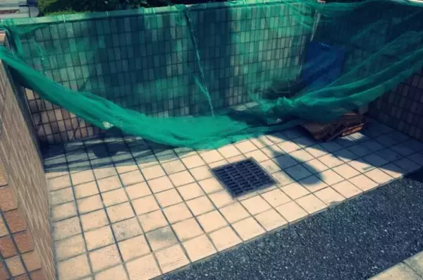 ゴミ捨て場を監視、“お茶会”という名の悪口大会…田舎移住で後悔する50代女性のぼやき「田舎暮らしを楽しもうと思ったのに」