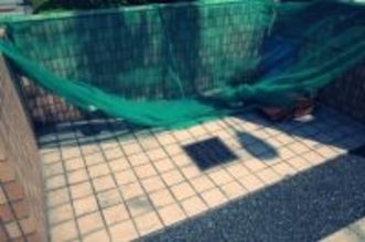 ゴミ捨て場を監視、“お茶会”という名の悪口大会…田舎移住で後悔する50代女性のぼやき「田舎暮らしを楽しもうと思ったのに」