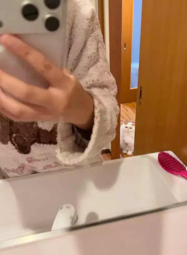 「「猫のお尻の穴みたい…!!」味わい深いお顔のにゃんこに一目惚れ。“仙人顔”なのに中身は甘えん坊で愛くるしい」の画像