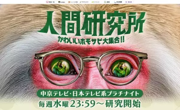 「違和感がすごい…『ラヴィット！』に何が起きている？リニューアル説が現実味を帯びるワケ」の画像