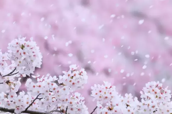 大学のオタサーで姫扱いだったのに、30歳を過ぎても彼氏ができない悩み／恋愛人気記事BEST