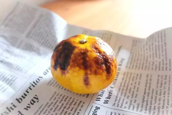 「「捨てるなんて、もったいない！」“果物のプロ”が教える、ミカンの「白い筋」は食べた方がいい理由」の画像