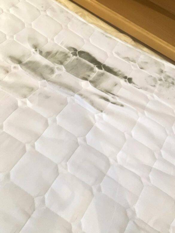 「え、なにこれ!?」沖縄移住した31歳女性の悲劇。楽しい帰省から一転、2週間ぶりの自宅で見た“恐ろしい光景”とは…