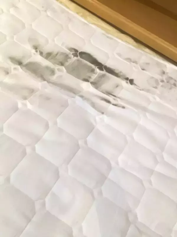 「「え、なにこれ!?」沖縄移住した31歳女性の悲劇。楽しい帰省から一転、2週間ぶりの自宅で見た“恐ろしい光景”とは…」の画像