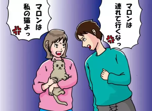 家に帰ったら、愛猫が消えていた！ 連れ去り犯の「母親」から知らされた、“とんでもない行き先”とは？