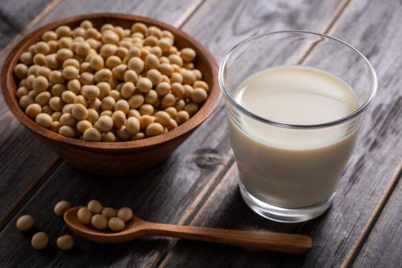 牛乳と豆乳、結局どっちが体にいいの？ 意外と知らない注意点と“失敗しない選び方”