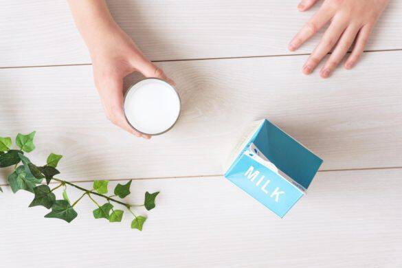 牛乳と豆乳、結局どっちが体にいいの？ 意外と知らない注意点と“失敗しない選び方”