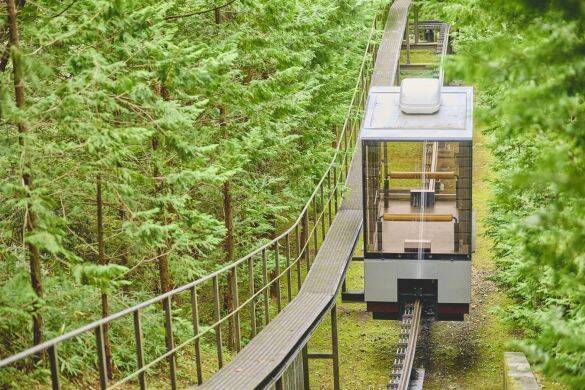 新年に向けてリフレッシュし、運気を上げる「日光・鬼怒川の開運旅」