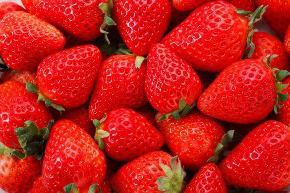 「知らなきゃもったいない！」おいしいミカンの選び方。“果物のプロ”がこっそり教える「実はでこぼこの方が…」