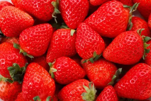 「「知らなきゃもったいない！」おいしいミカンの選び方。“果物のプロ”がこっそり教える「実はでこぼこの方が…」」の画像