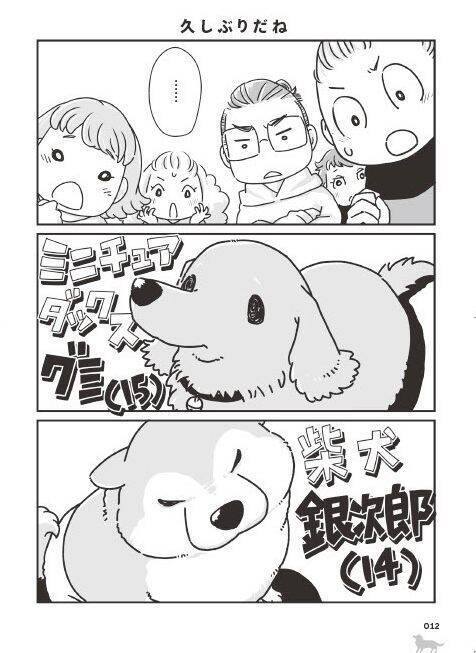 「いつまでも大好きだよ」老いていく愛犬たちとの、宝物のような日々＜漫画＞