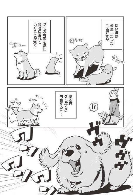 「いつまでも大好きだよ」老いていく愛犬たちとの、宝物のような日々＜漫画＞