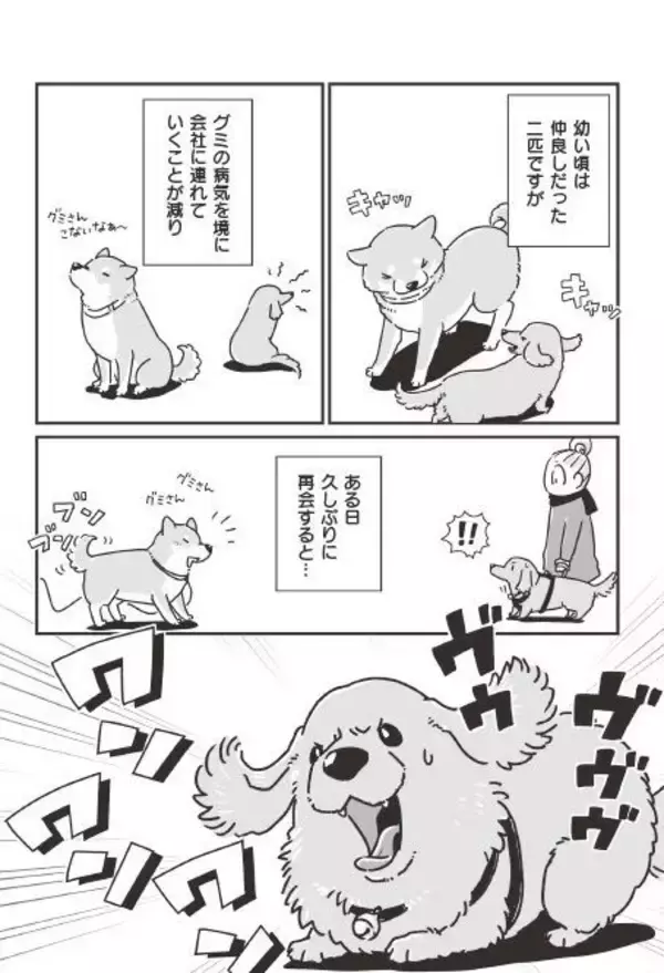 「「いつまでも大好きだよ」老いていく愛犬たちとの、宝物のような日々＜漫画＞」の画像