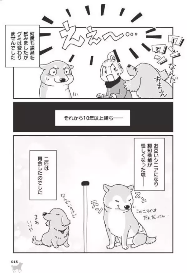 「「いつまでも大好きだよ」老いていく愛犬たちとの、宝物のような日々＜漫画＞」の画像