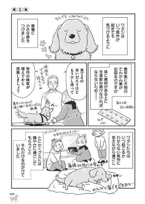 「いつまでも大好きだよ」老いていく愛犬たちとの、宝物のような日々＜漫画＞