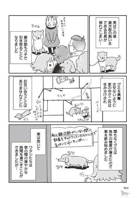「いつまでも大好きだよ」老いていく愛犬たちとの、宝物のような日々＜漫画＞