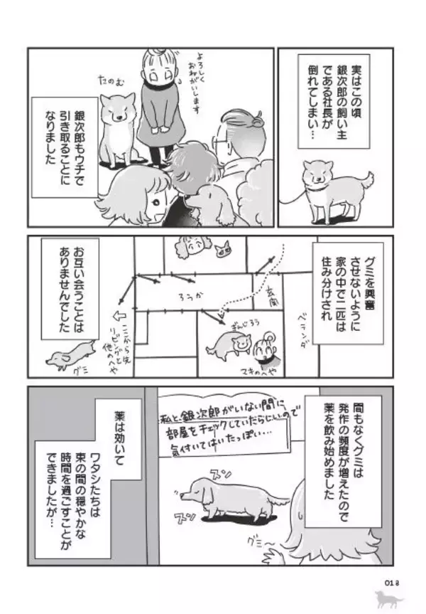 「「いつまでも大好きだよ」老いていく愛犬たちとの、宝物のような日々＜漫画＞」の画像