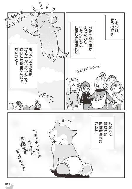 「いつまでも大好きだよ」老いていく愛犬たちとの、宝物のような日々＜漫画＞