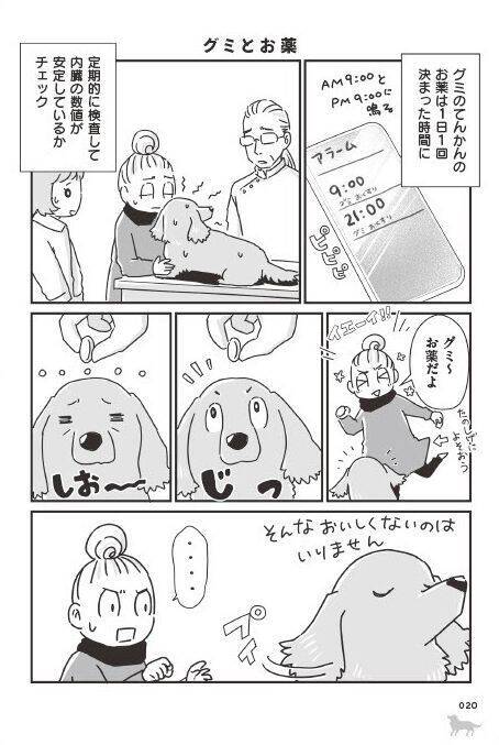 「いつまでも大好きだよ」老いていく愛犬たちとの、宝物のような日々＜漫画＞