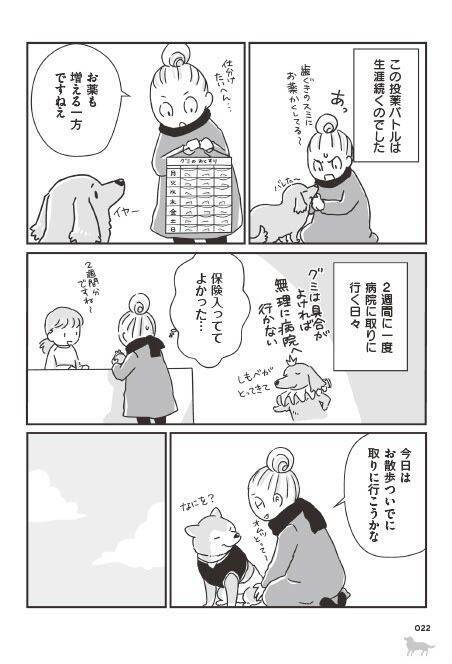 「いつまでも大好きだよ」老いていく愛犬たちとの、宝物のような日々＜漫画＞