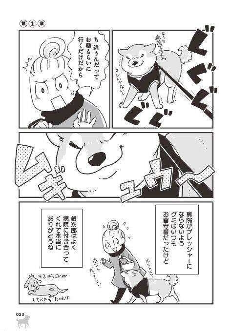 「いつまでも大好きだよ」老いていく愛犬たちとの、宝物のような日々＜漫画＞