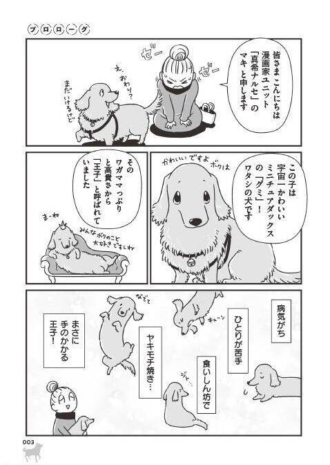 「いつまでも大好きだよ」老いていく愛犬たちとの、宝物のような日々＜漫画＞