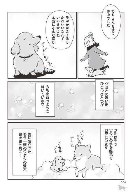 「いつまでも大好きだよ」老いていく愛犬たちとの、宝物のような日々＜漫画＞