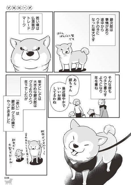 「いつまでも大好きだよ」老いていく愛犬たちとの、宝物のような日々＜漫画＞