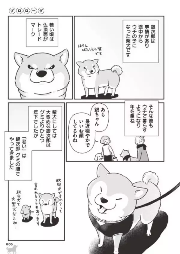 「「いつまでも大好きだよ」老いていく愛犬たちとの、宝物のような日々＜漫画＞」の画像