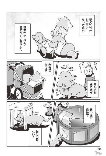 「いつまでも大好きだよ」老いていく愛犬たちとの、宝物のような日々＜漫画＞