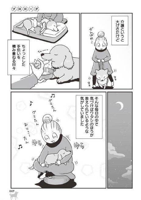 「いつまでも大好きだよ」老いていく愛犬たちとの、宝物のような日々＜漫画＞