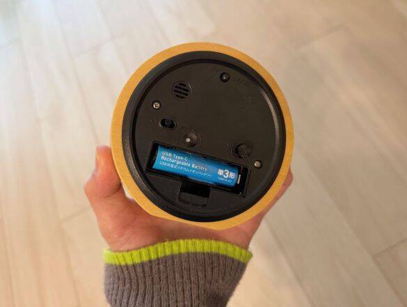 もう「電池がない！」と絶望しない。“USB-C直挿し”充電池が便利すぎ…まさかのダイソーで550円なんて