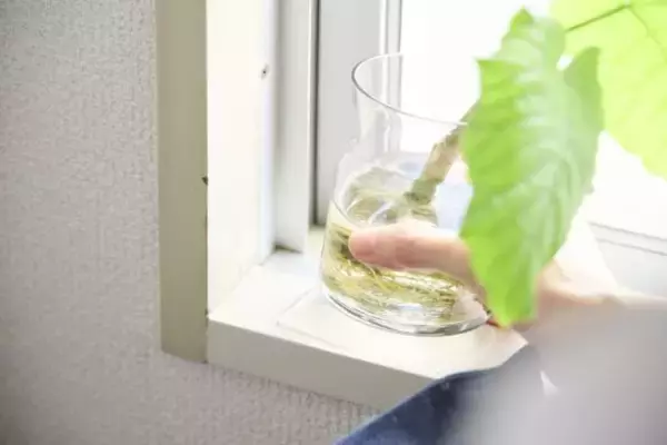 「大災害が発生…絶対にやってはいけない「生存率」を下げてしまう7つのNG行動」の画像