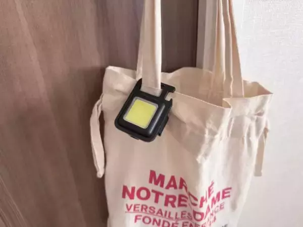 「「想像の100倍明るくて衝撃」ダイソー発ブランドの“極小ライト”を、防災グッズに絶対入れたい理由」の画像