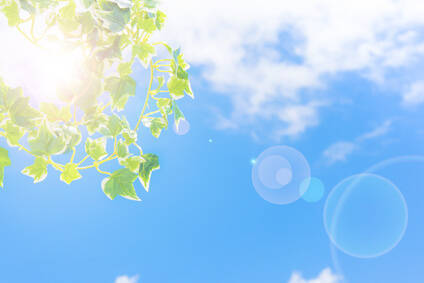 アパレル店員をクビになり、老人ホームに転職した女性「まさかの給料倍増」のワケ／びっくり体験人気記事