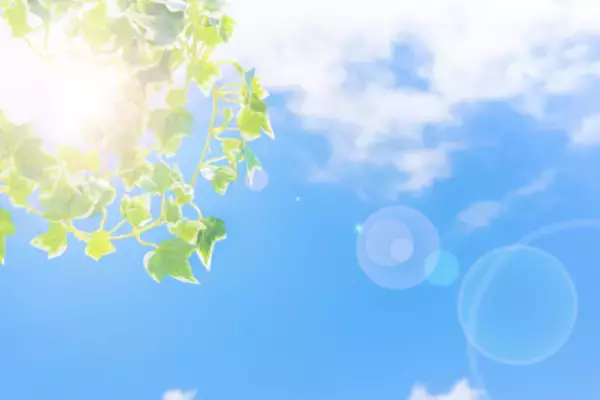 「アパレル店員をクビになり、老人ホームに転職した女性「まさかの給料倍増」のワケ／びっくり体験人気記事」の画像