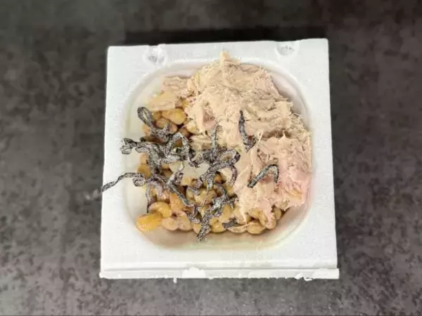 「納豆ご飯を「冷やし茶漬け」にしたら大正解。腸活で注目の「冷やご飯」と納豆を一緒に」の画像