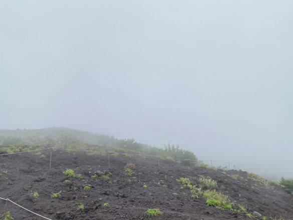 オムツの2歳児を背負って登山…父親の行動にヒヤッ。“登頂ハイ”に陥る親たちの危なすぎる判断