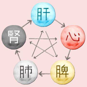 「常にだるくて、生理痛は失神するほどでした」虚弱だった女性が、健康を取り戻して“予約の取れない鍼灸師”になるまで