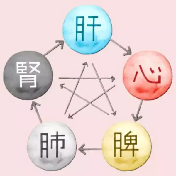 「「常にだるくて、生理痛は失神するほどでした」虚弱だった女性が、健康を取り戻して“予約の取れない鍼灸師”になるまで」の画像