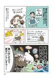 「45歳の漫画家が、3か月で9キロ減に成功。料理嫌いでもできた、リバウンドしない食べ方＜漫画＞」の画像10