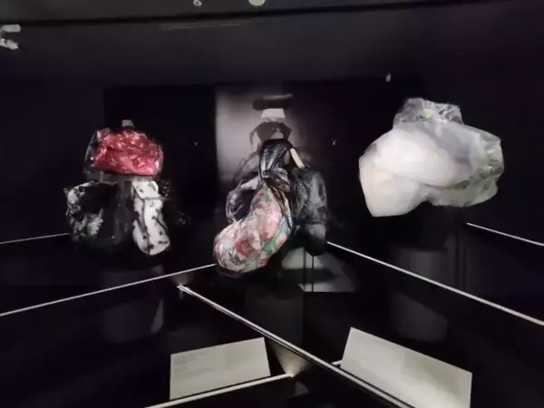 「「話しかけられてもほとんど無視みたいな…」海外一人旅で見た“日本人の姿”に36歳・元子役が思ったこと」の画像