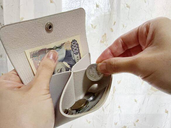 財布は小さくしたい。でも、お札は折り畳みたくない！→ ダイソー220円のミニ財布が優秀すぎた！
