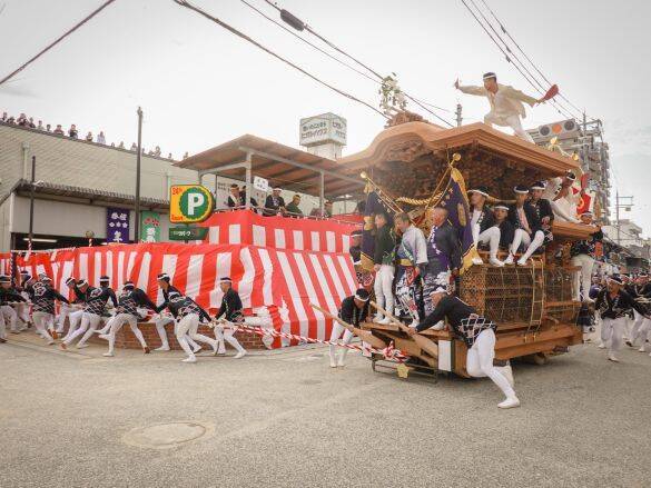 12歳の少年が作った「ミニだんじり」の完成度がスゴい…！親子二代に続く”だんじり愛”を取材