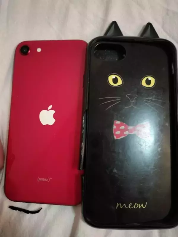 「36歳・元『渡鬼』子役がスマホを5年以上使うためにやっている“たった1つのこと”「自転車で2回轢いたこともあるけど…」」の画像